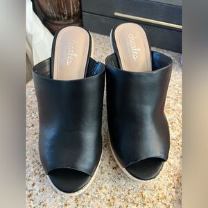 Charlies David Elegant Black Leather Mules Wedge heel